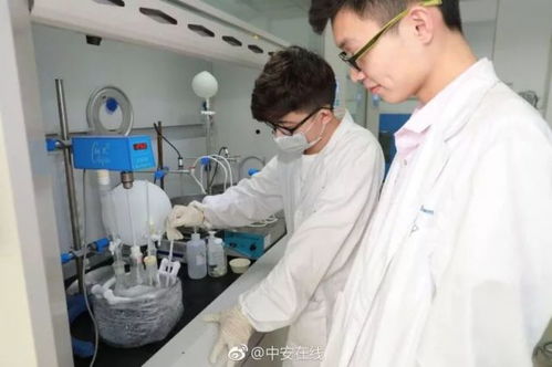 全國超80%光纖依賴的背后 電子專用材料研發的隱形冠軍