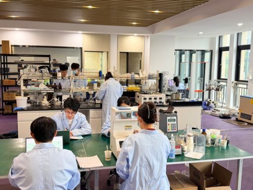 廢棄秸稈變身高端基材 蒼南企業實現電子專用材料研發新突破